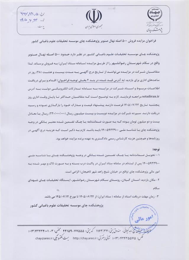 فراخوان مزایده فروش ۵۰۰ اصله نهال صنوبر پژوهشكده چای موسسه تحقیقات علوم باغبانی كشور