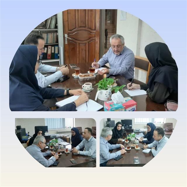 هم‌افزایی پژوهشی برای توسعه محصولات ارزش‌افزوده چای و خرما