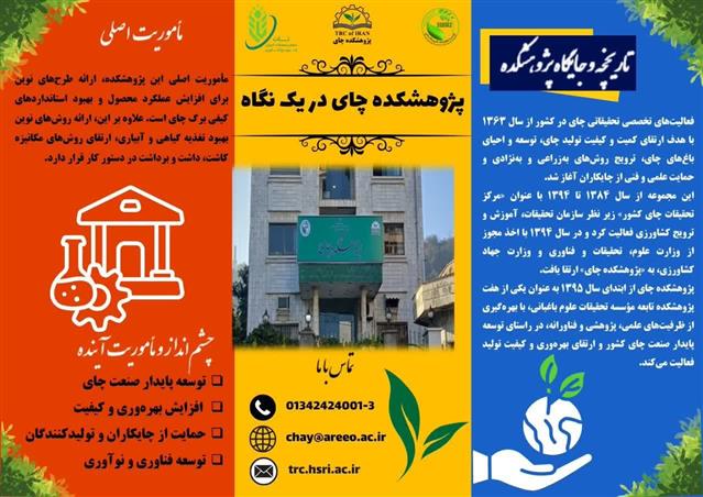 تهیه بروشور پژوهشكده چای در یك نگاه