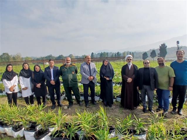 بازدید مسئولان شهرستان سیاهكل از ایستگاه تحقیقات چای ازبرم