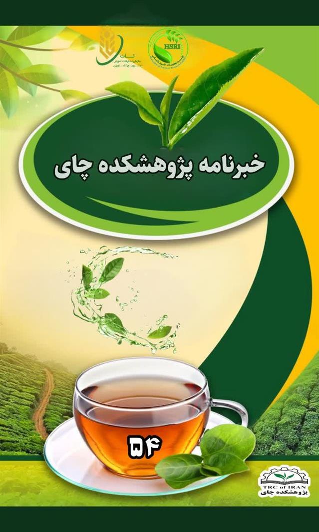تدوین شماره ۵۴ خبرنامه پژوهشكده چای