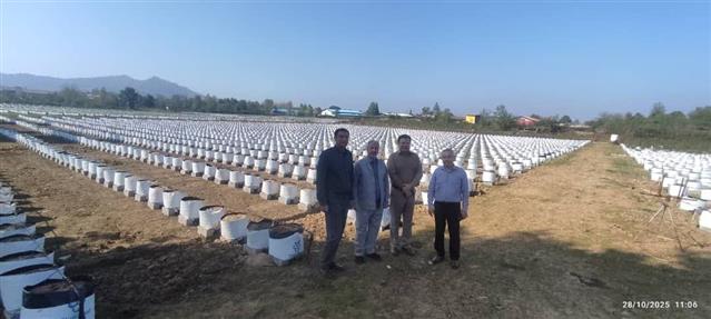 بازدید معاون برنامه‌ریزی و پشتیبانی موسسه تحقیقات علوم باغبانی و همراهان از ایستگاه‌های اختصاصی پژوهشكده چای در استان‌های گیلان و مازندران