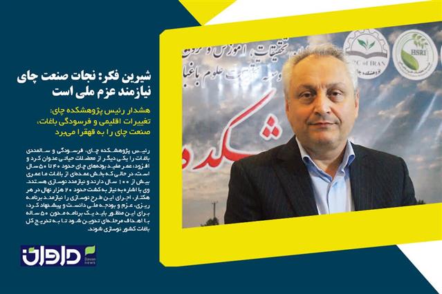 مصاحبه اختصاصی رییس پژوهشكده چای با پایگاه خبری داوان نیوز