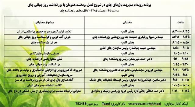 رویداد علمی مدیریت باغ‌های چای در شروع فصل برداشت همزمان با بزرگداشت روز جهانی چای