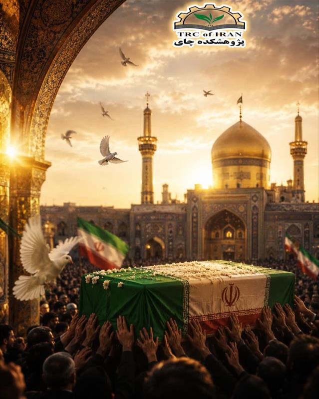 آخرین بدرقه: بدرقه‌ای از جنس دلتنگی؛ در سایه گنبد خورشید
